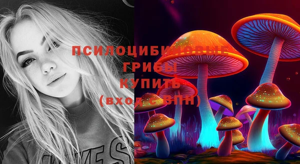 таблы Алексин