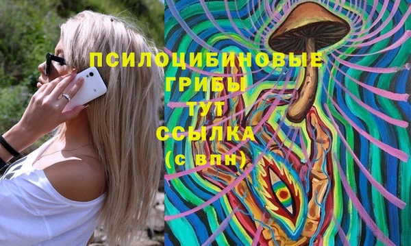 таблы Алексин