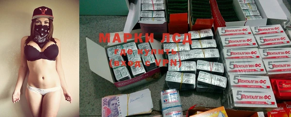 ECSTASY Алзамай